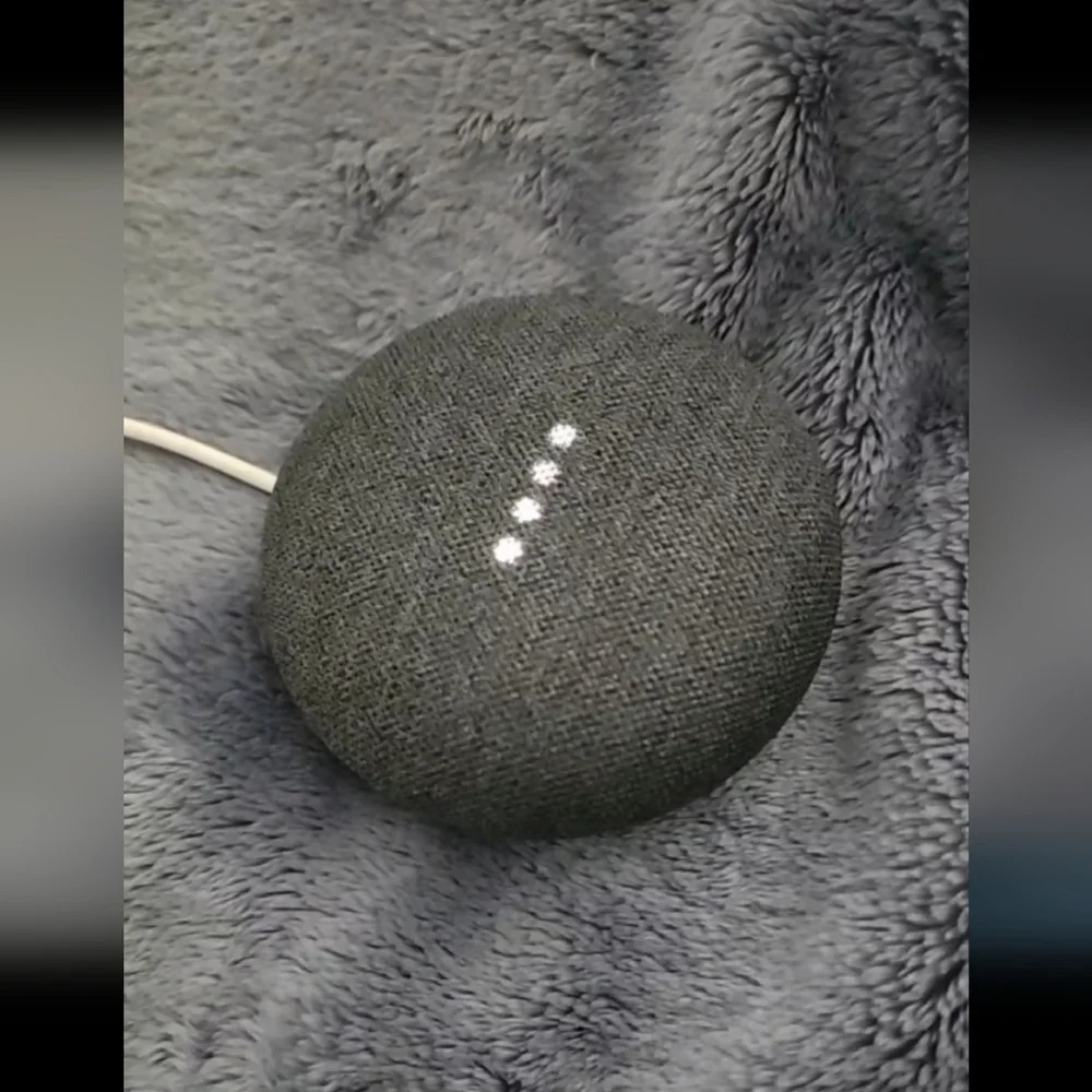 Google Nest Mini